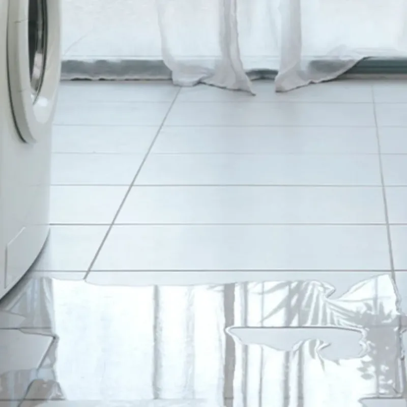 Appliance Leak Cleanup in Dranesville, VA