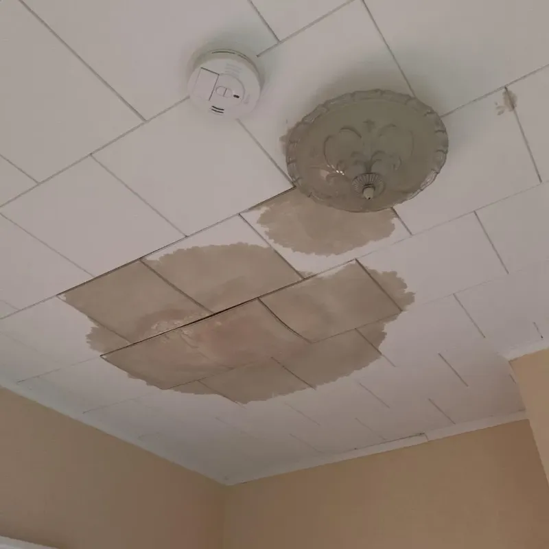 Ceiling Water Damage Repair in Dranesville, VA