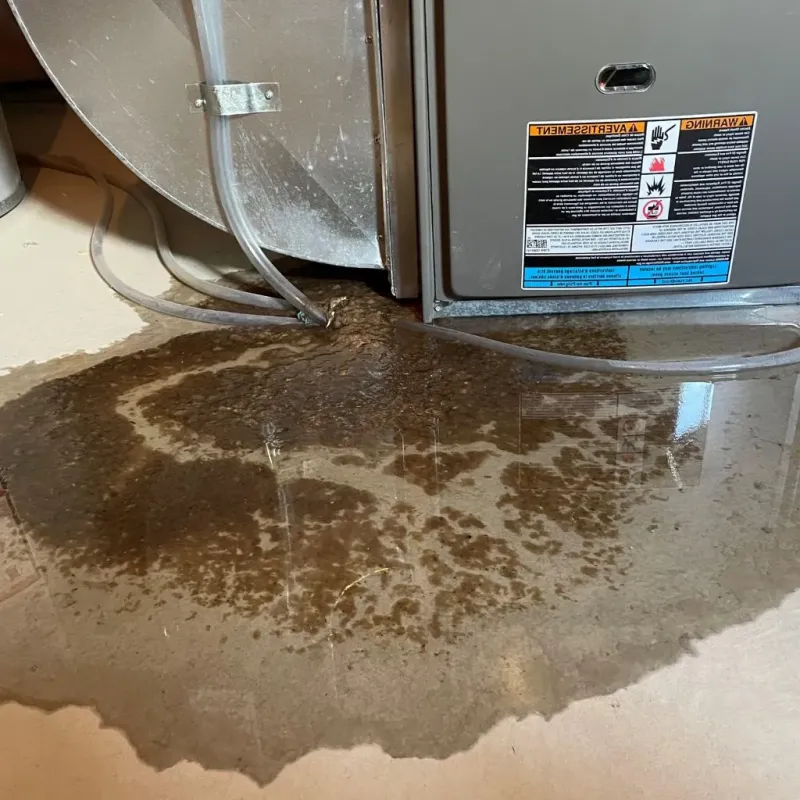 Pipe Burst and Leak Restoration in Dranesville, VA